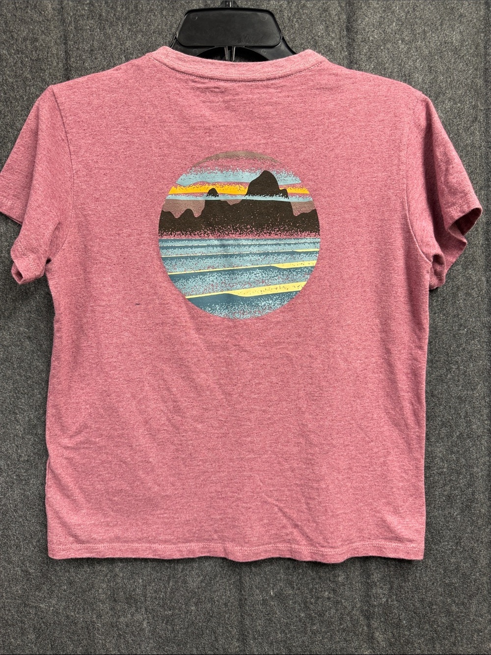 Patagonia Pink Short-Sleeve Crew Tee with Mountain Logo - Picture 4 of 7